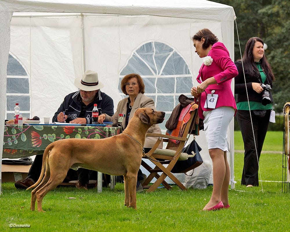 14249786_1555882014437788_362880587244833298_o