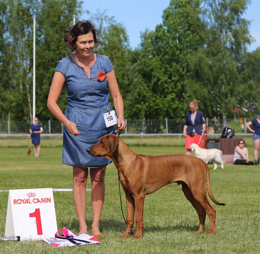 CN9A6957 BOB and BIG-1 in Helsinki Puppy Show 27.5.2018
