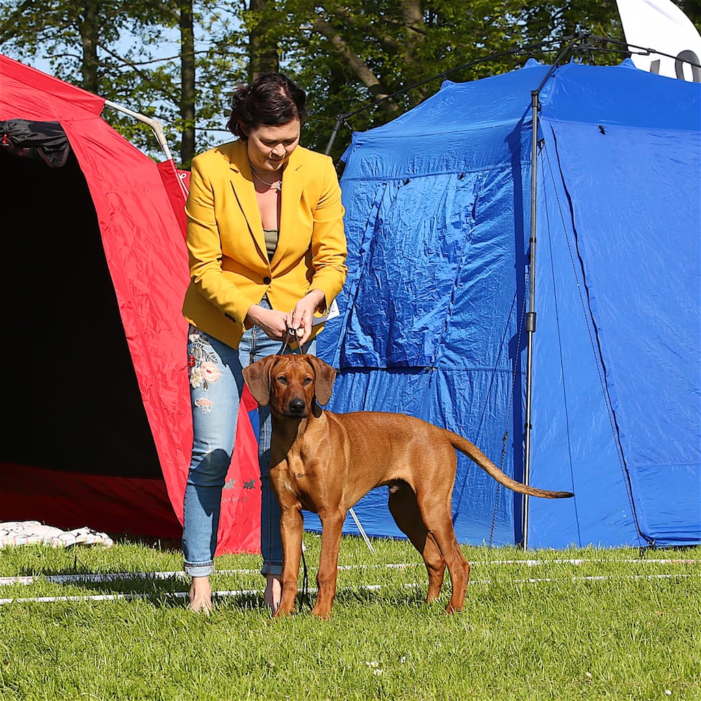 CN9A6135 BOB in Herning 12.5.2018