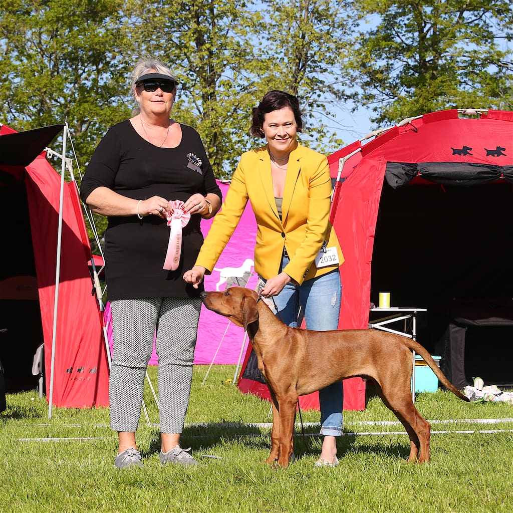 CN9A6162 BOB in Herning 12.5.2018