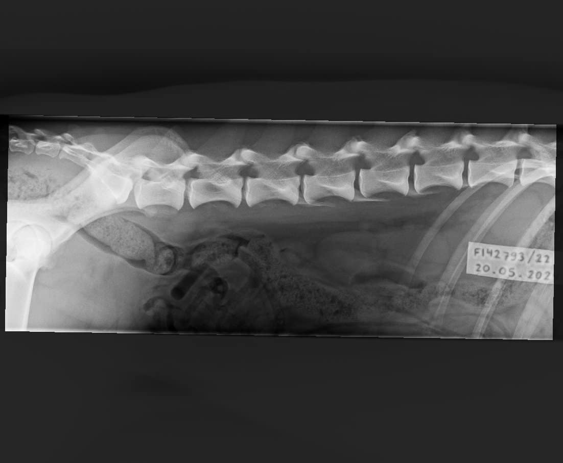 1.2.392.200036.9107.500.220.28487.20240520.141107.9249.1