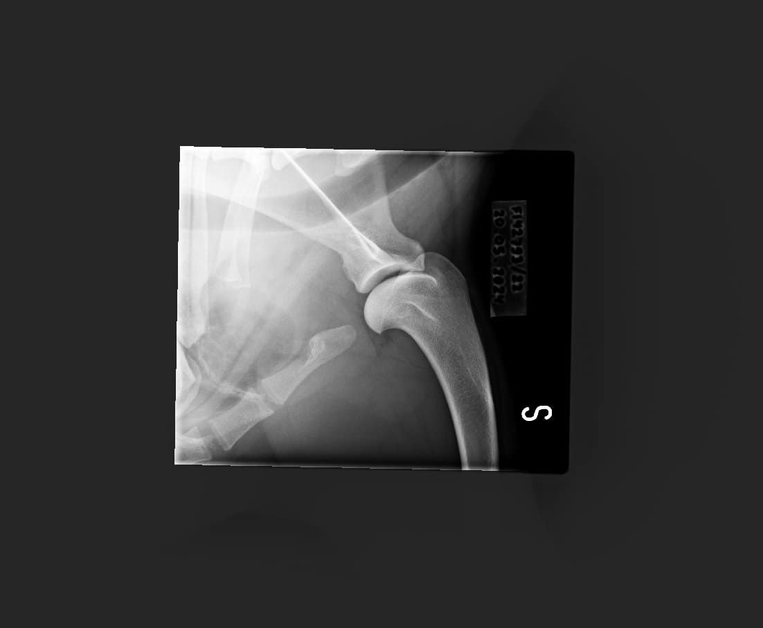 1.2.392.200036.9107.500.220.28487.20240520.141922.9259.1