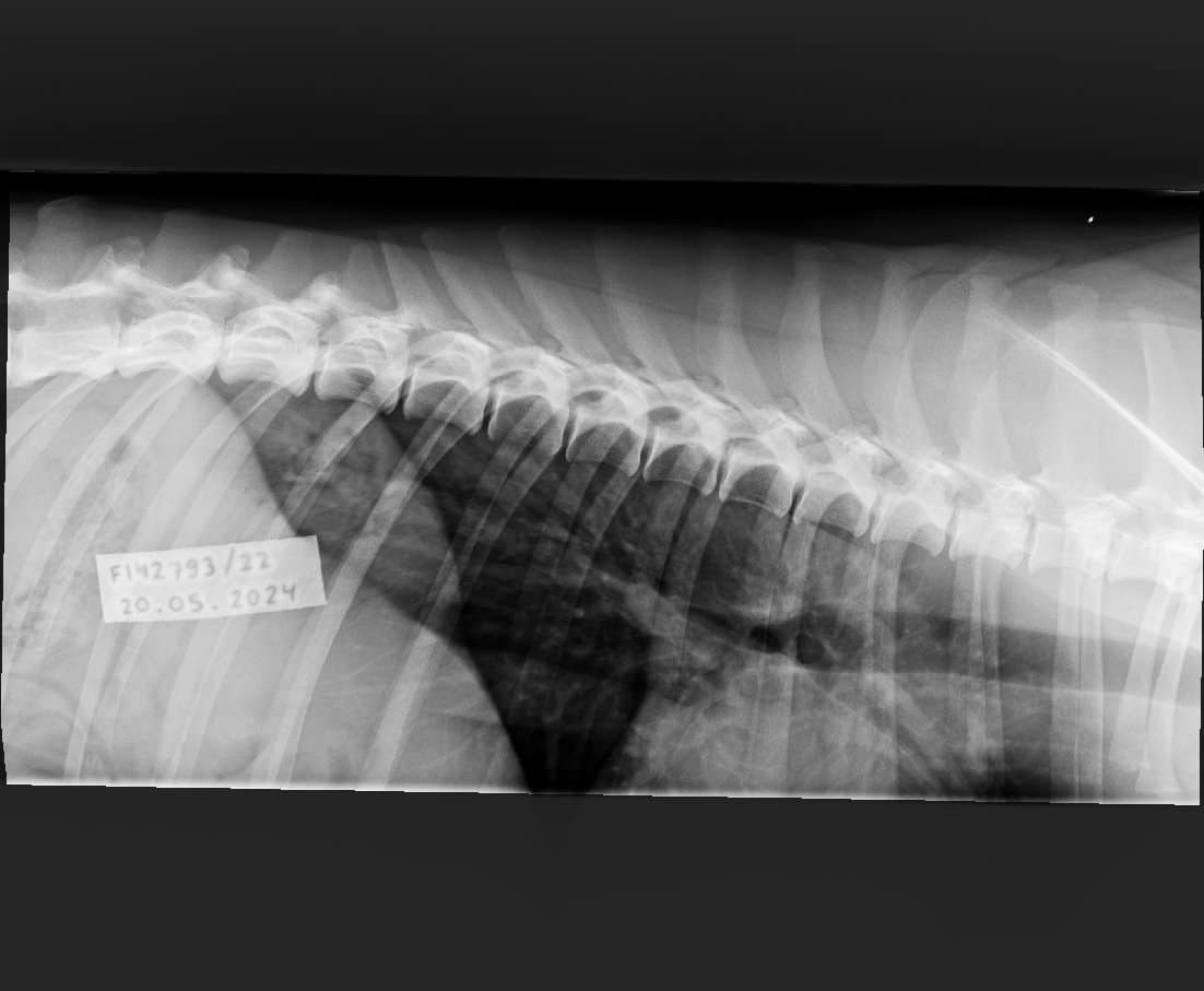 1.2.392.200036.9107.500.220.28487.20240520.141408.9253.1