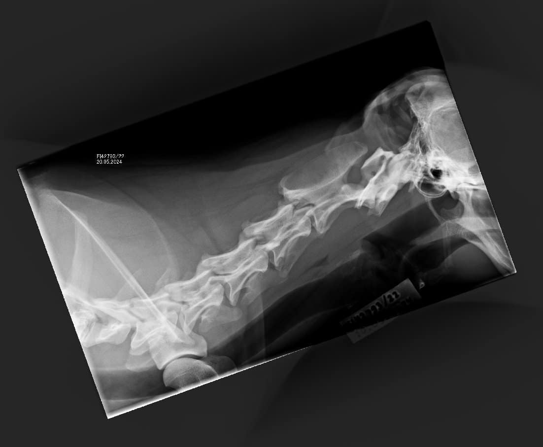 1.2.392.200036.9107.500.220.28487.20240520.141711.9256.1