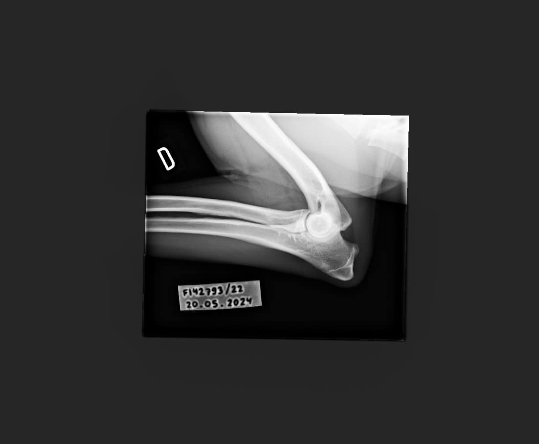 1.2.392.200036.9107.500.220.28487.20240520.142331.9263.1