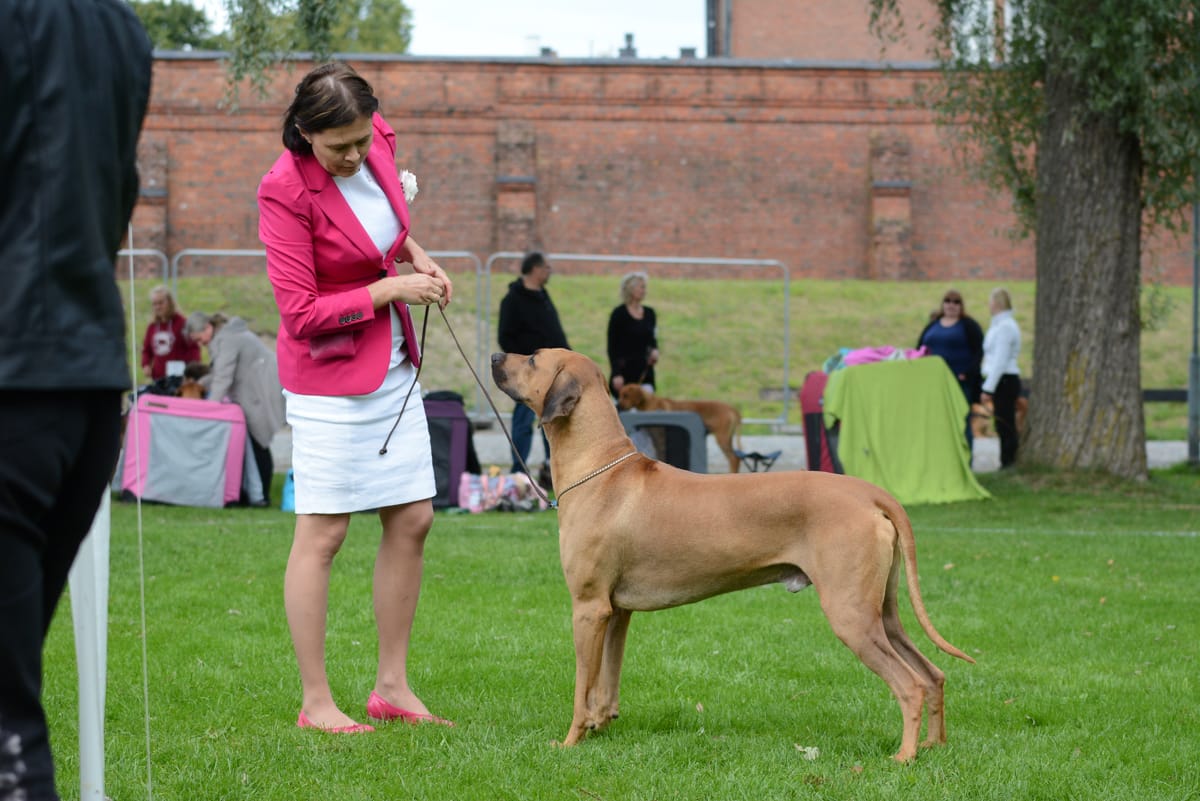 28808879913_1a6f3a6e30_o-2