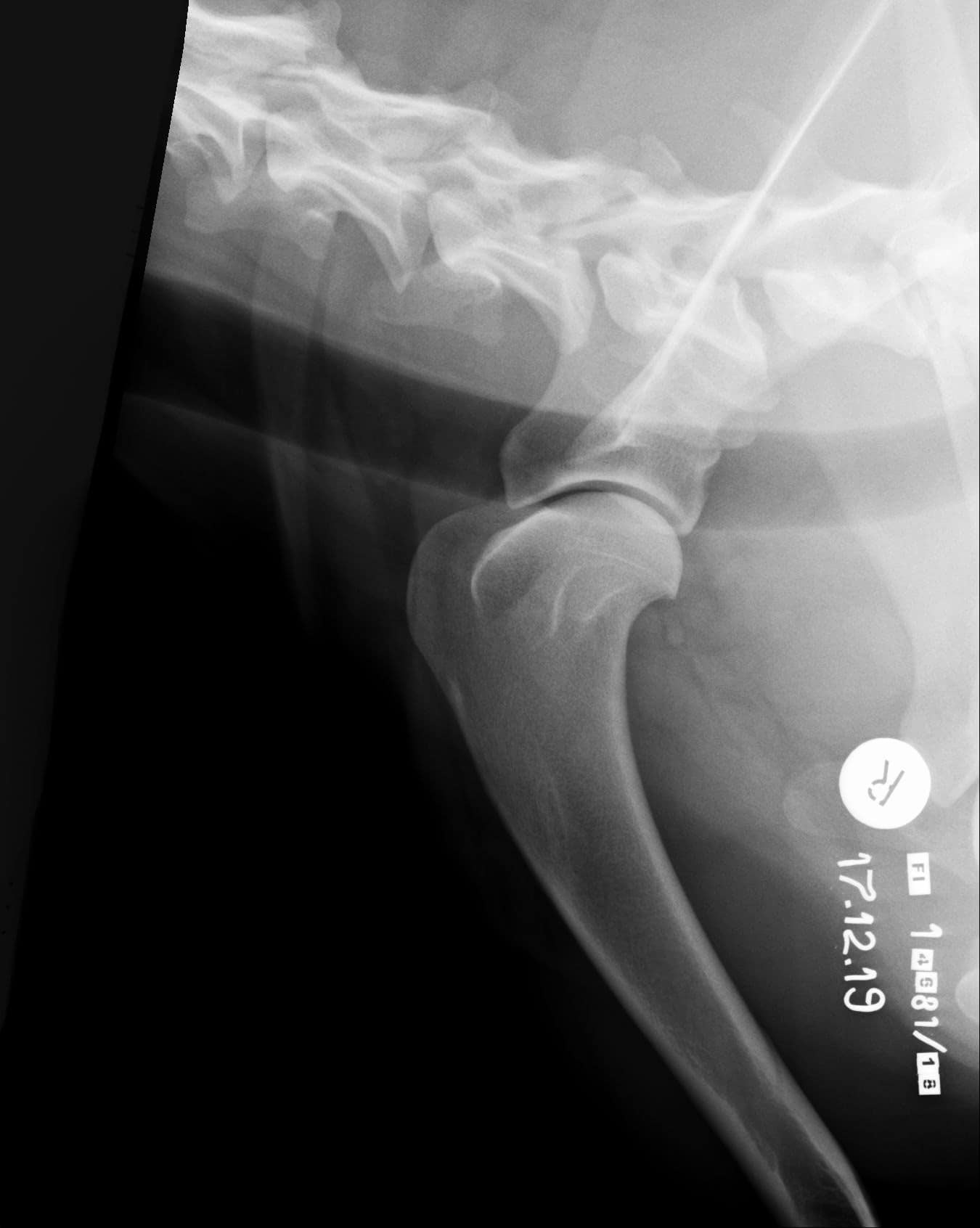 482_4615_20191217174738.0