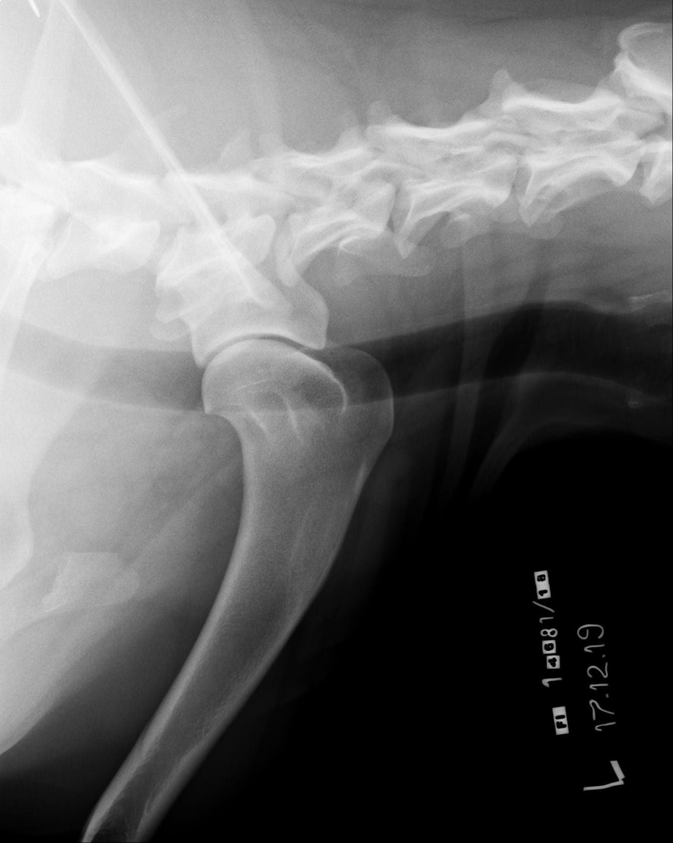 482_4616_20191217175034.0