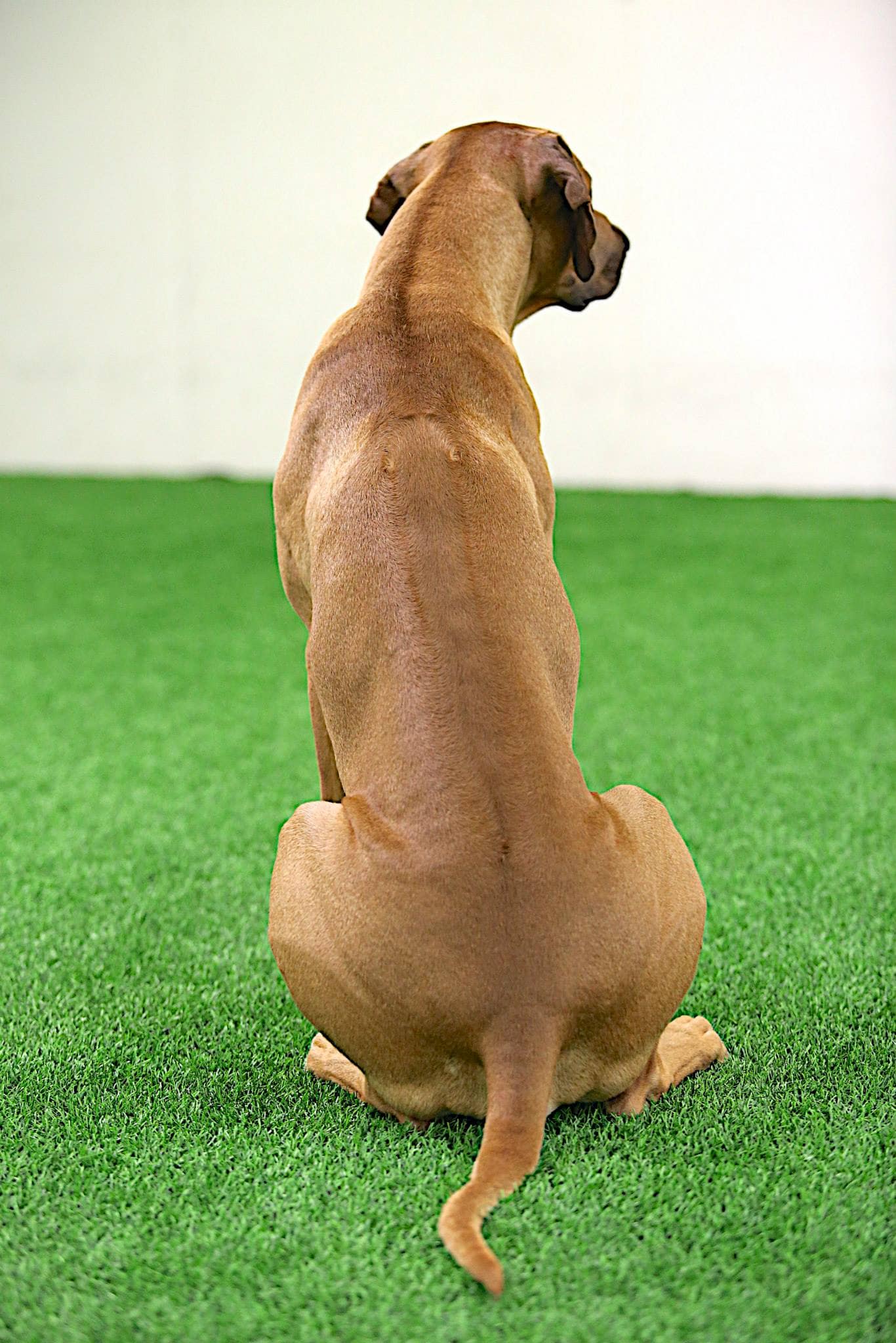 10835088_10153025728928684_250042726310310560_o