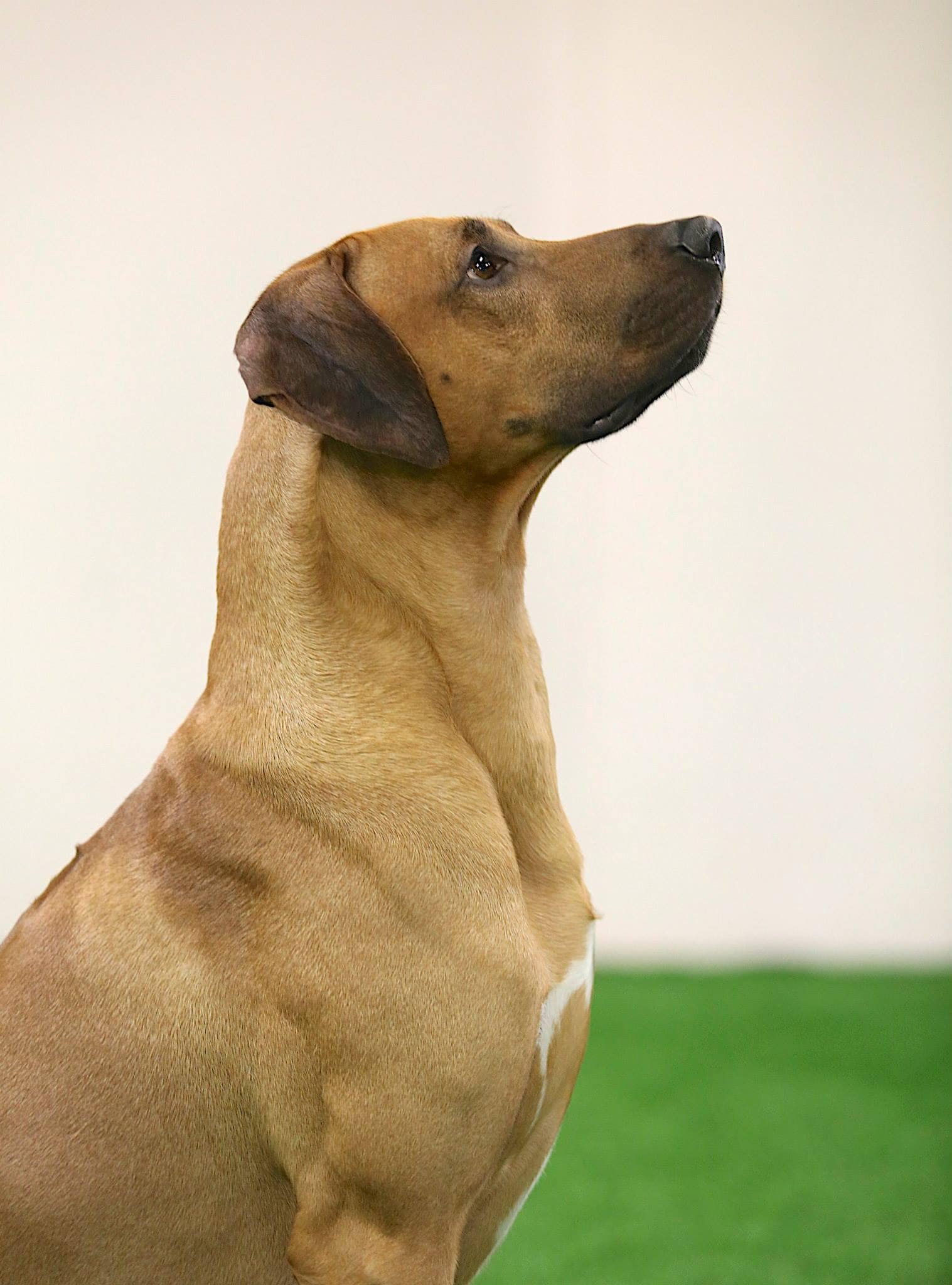 10923772_10153025717928684_6877327565930745913_o