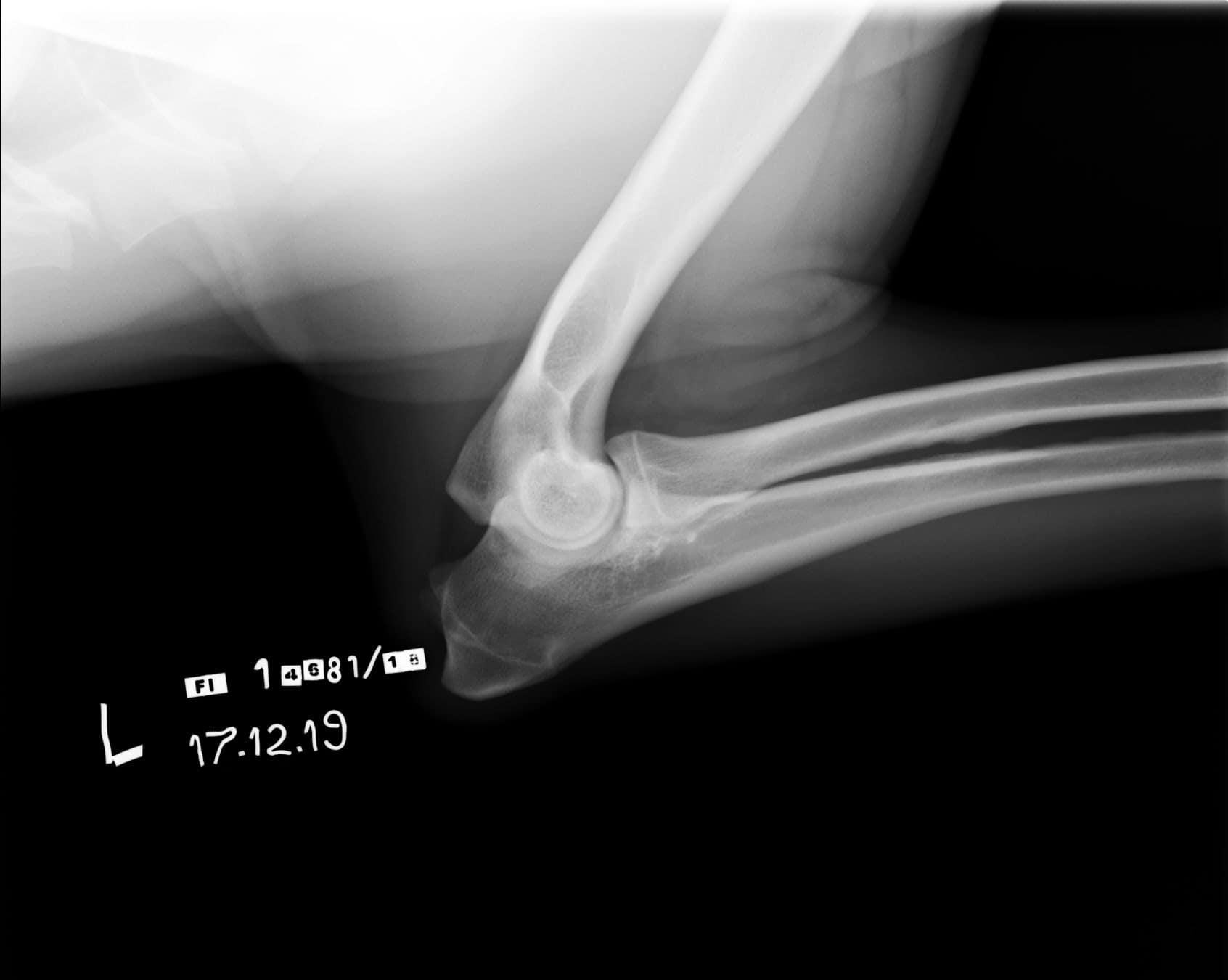 482_4618_20191217175439.0 (2)