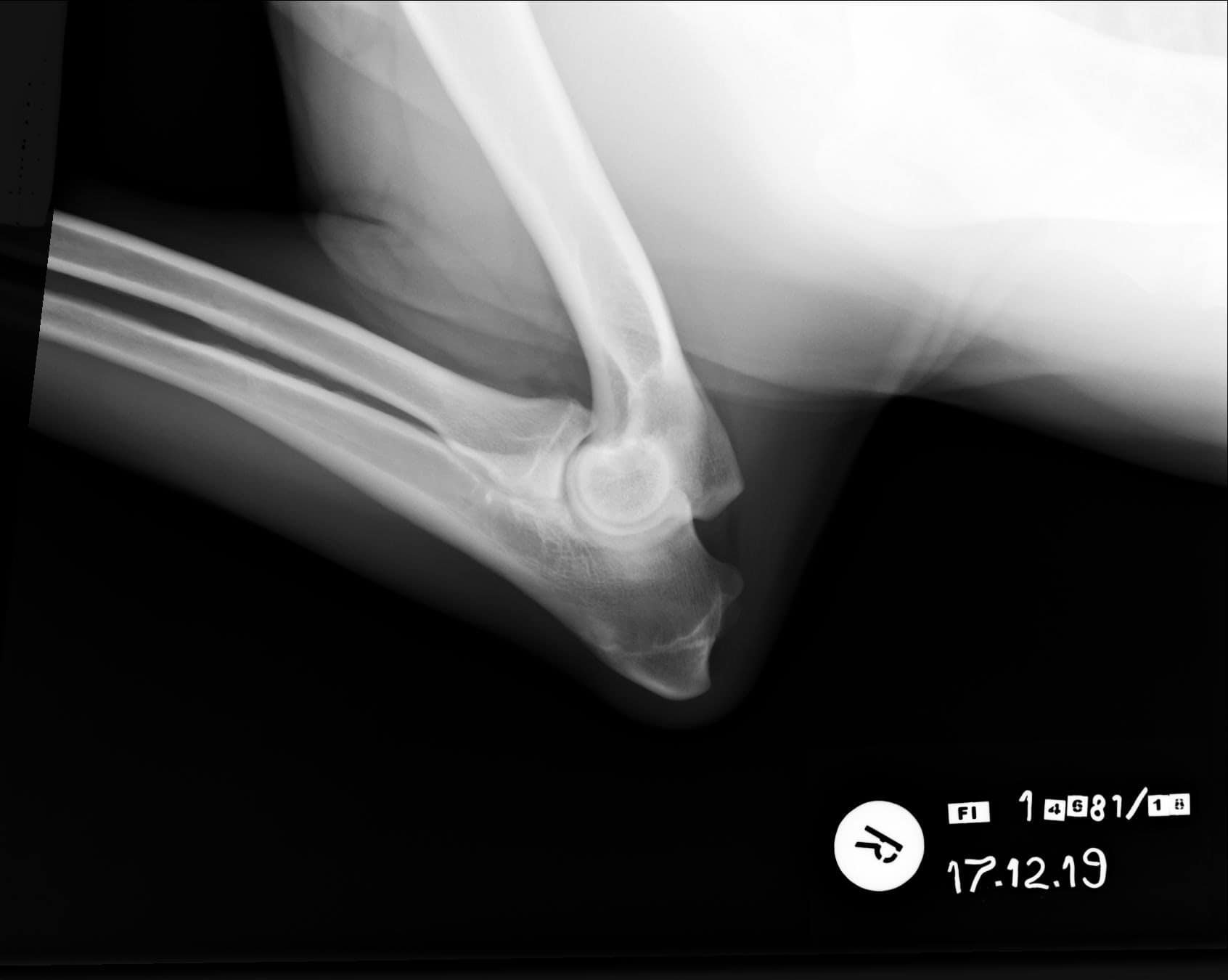 482_4614_20191217174614.0 (2)