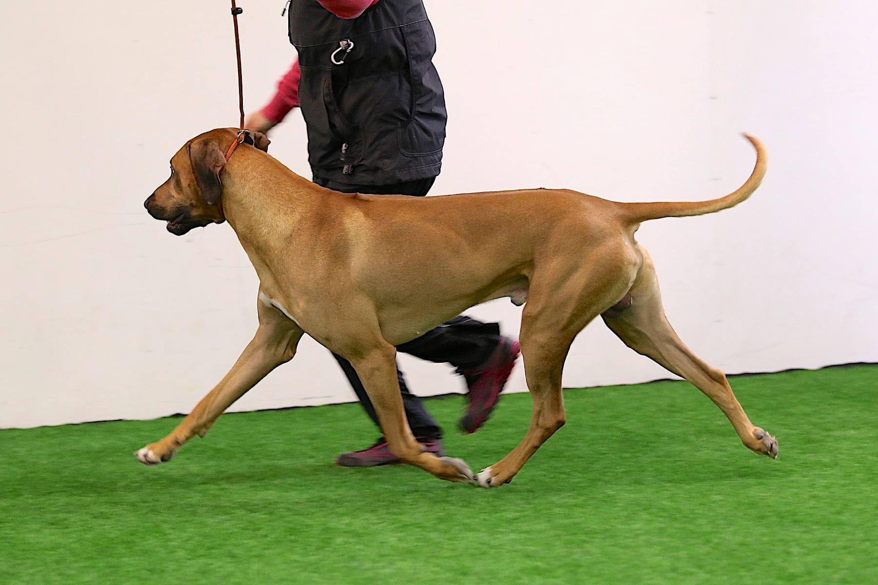 10914981_10153025710028684_8744368006695990216_o