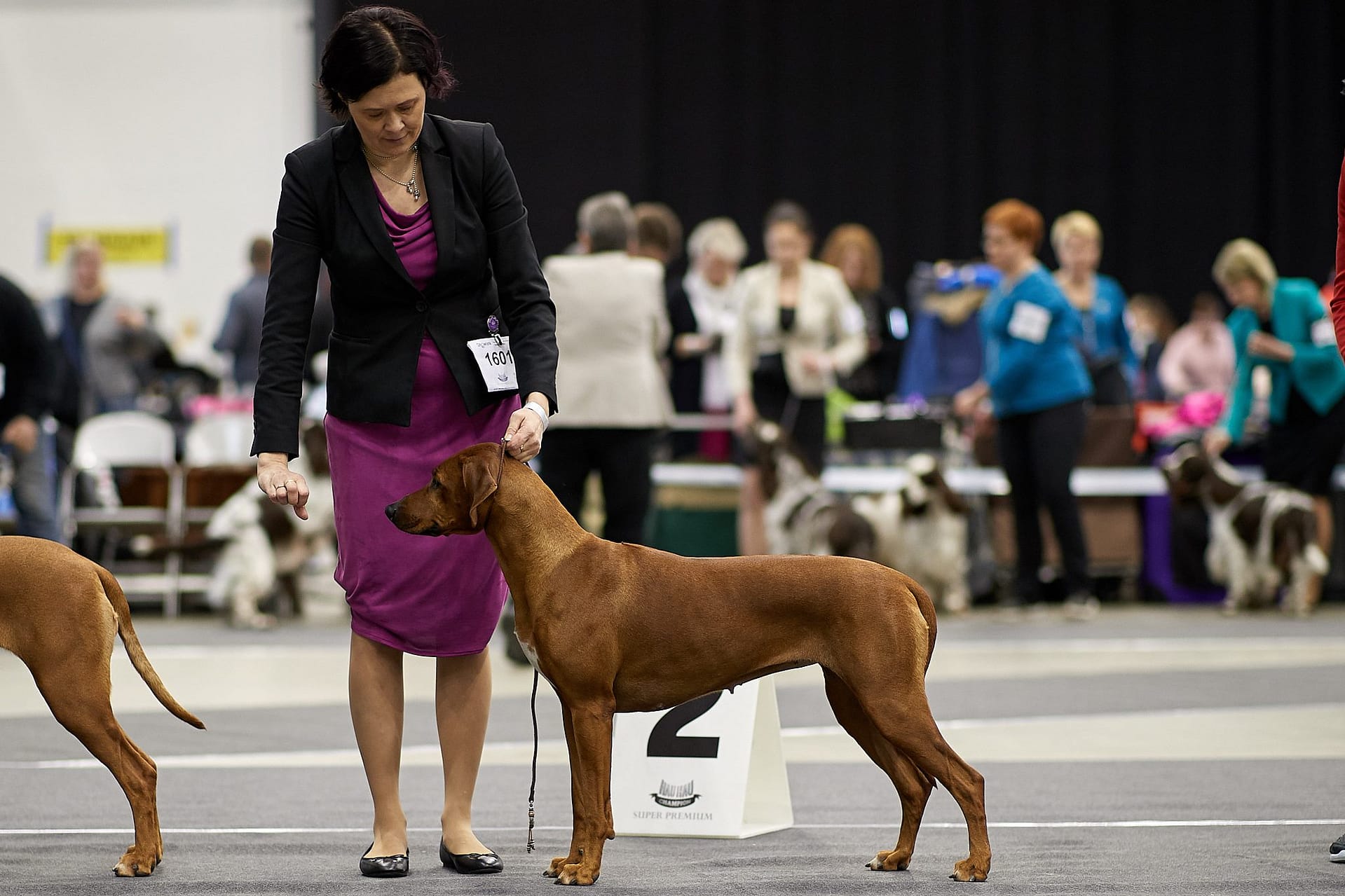 32079549_1874024852630930_3940898794937253888_o BOS, NORD CAC in Tampere NORD 5.5.2018