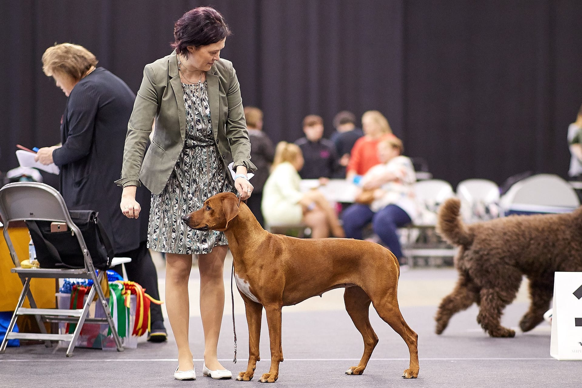 32105627_1874934242539991_4893301169985683456_o