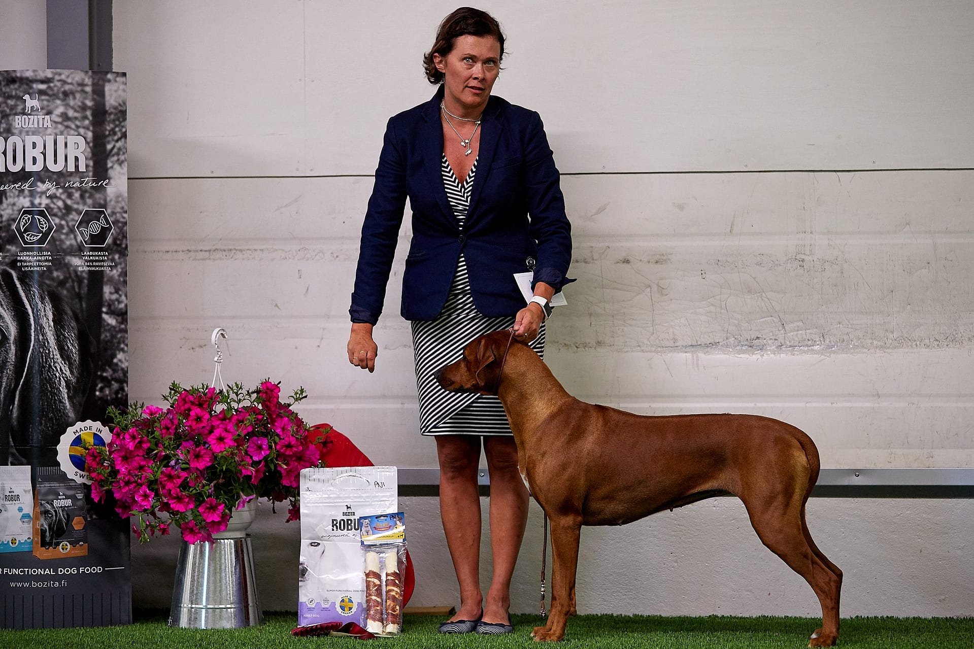 34535218_1903263719707043_5777718048144228352_o