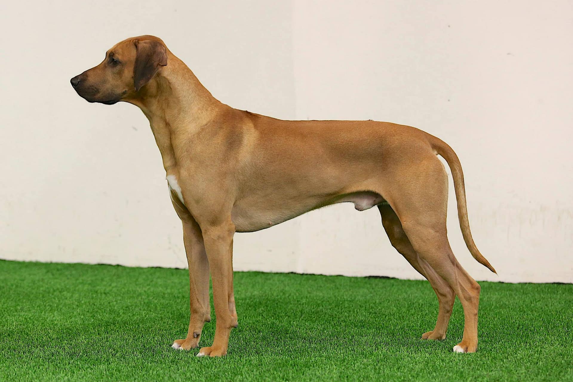 10945869_10153025697478684_2115363438884741649_o