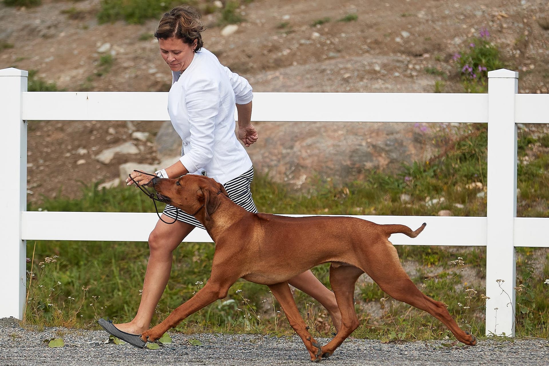 39585390_10156597615103684_5748837356606062592_o