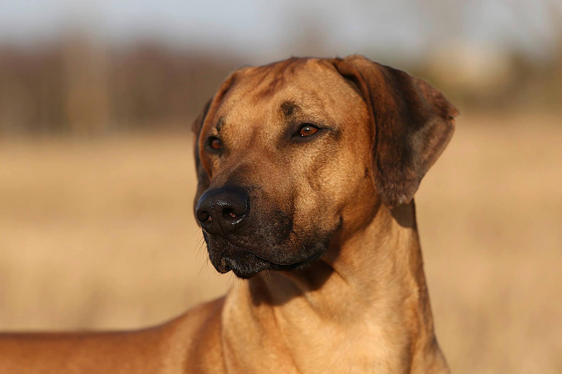 10835476_10153209223913684_2143632030196684005_o