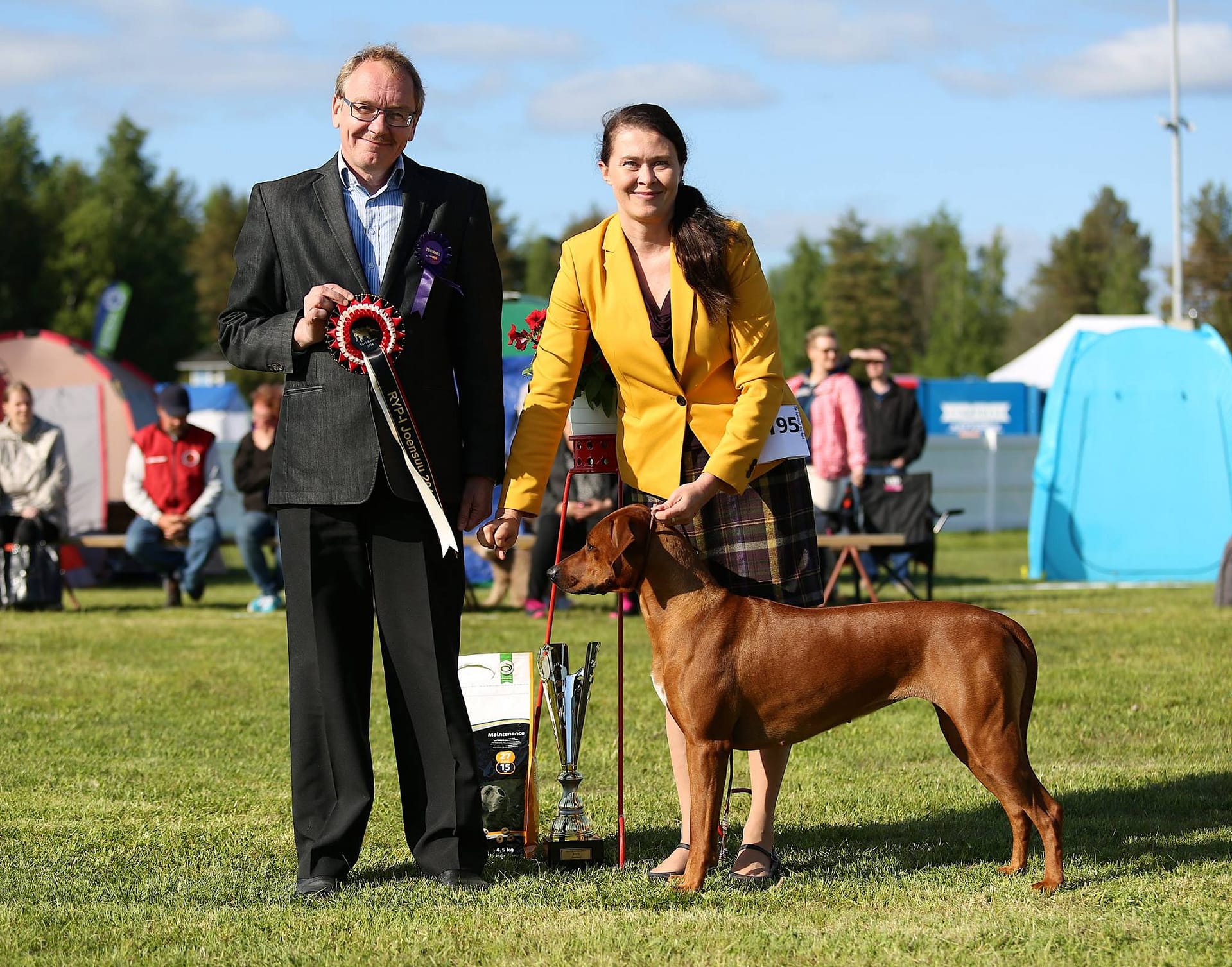 13340056_10154219453698684_6324023604764504766_o BOB, BIG-1 and BIS-2 in Joensuu NDS 28.5.2017