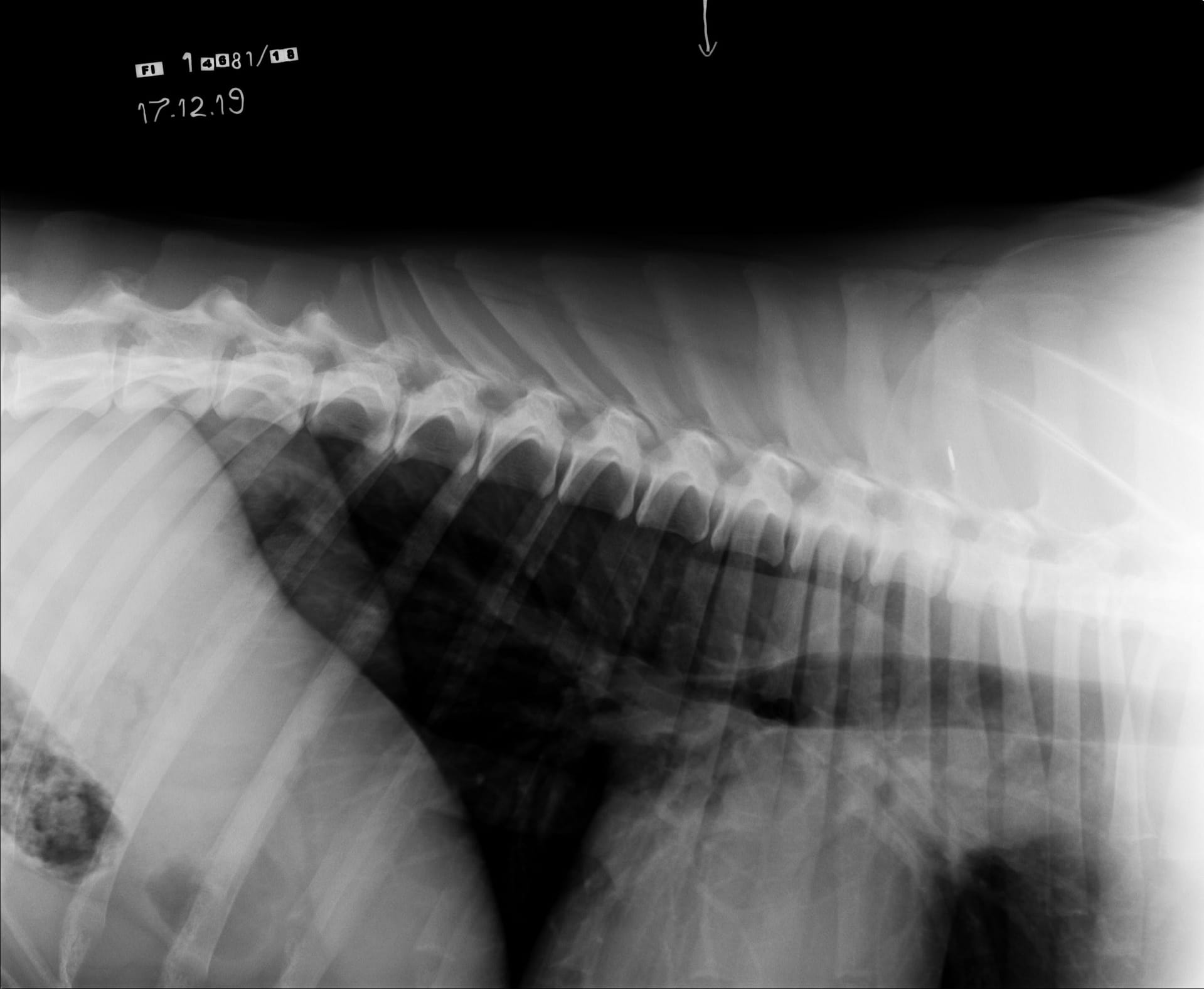 482_4623_20191217180555.0