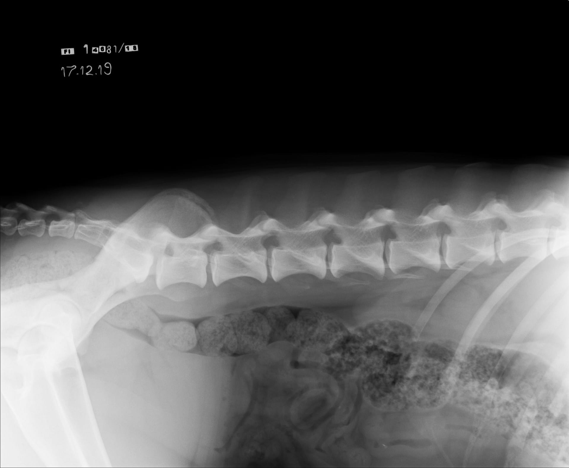 482_4620_20191217180014.0