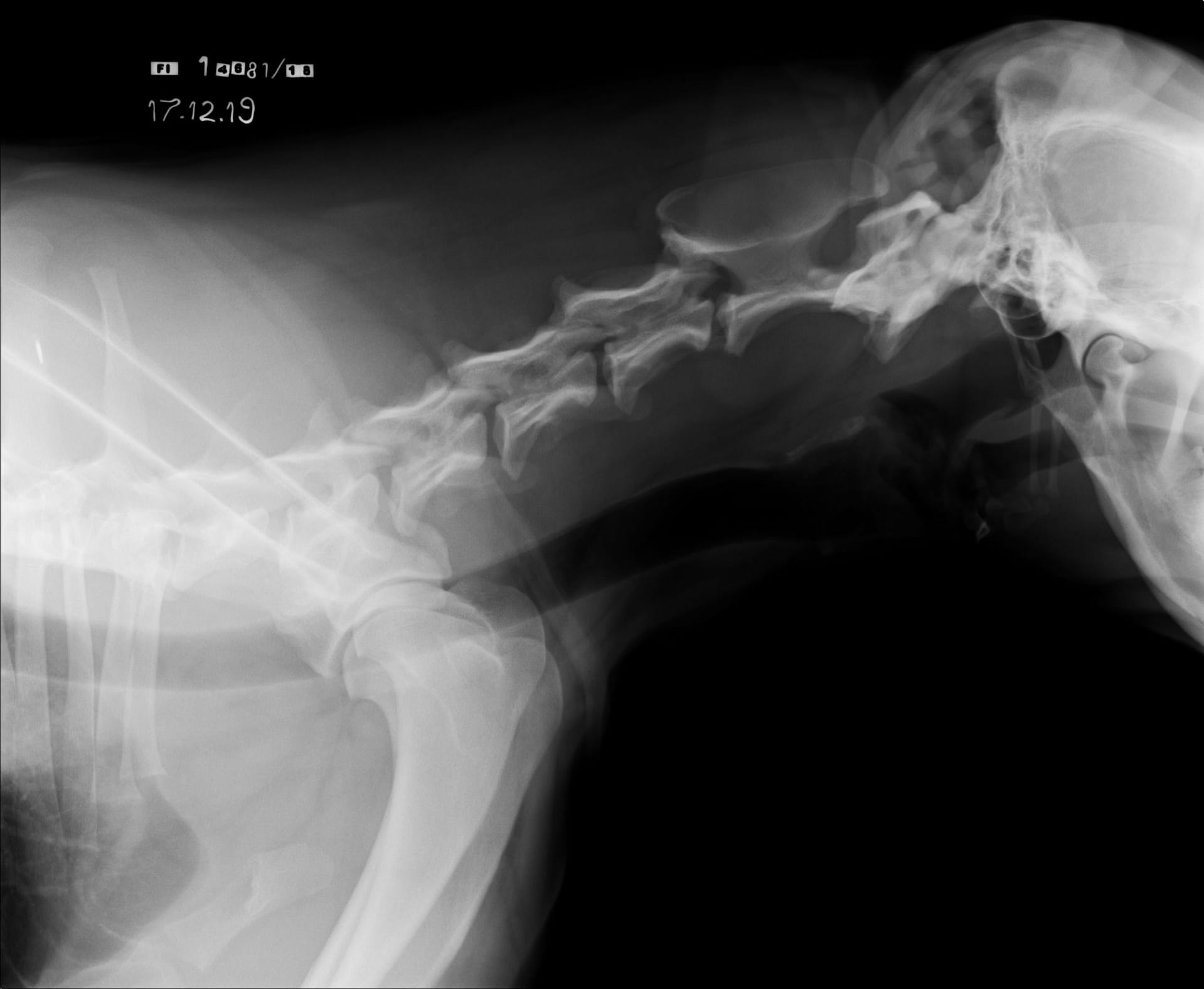 482_4624_20191217180948.0