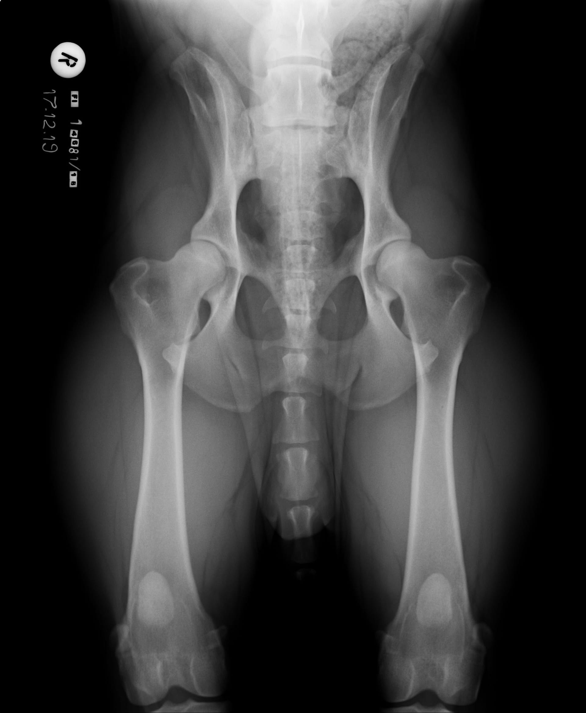 482_4627_20191217182431.0 (1)