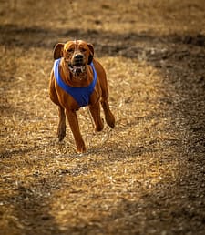 This image has an empty alt attribute; its file name is 68698184_10157569551668684_9141952663947051008_o-524x600.jpg