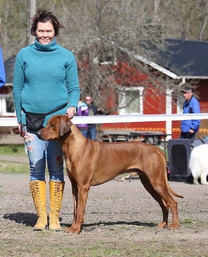 74154382_10157651279008684_3616783258357858304_n