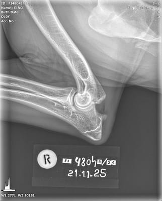 20251121_102130_FI48048-24_EINO (1)