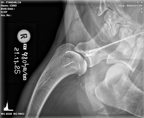 20251121_102359_FI48048-24_EINO