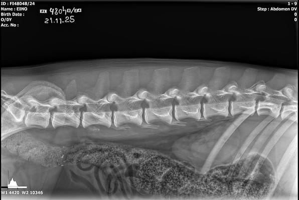 20251121_103020_FI48048-24_EINO