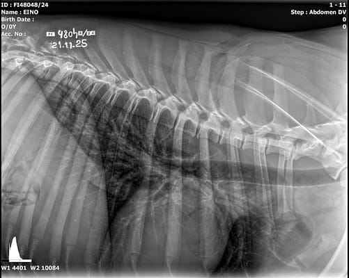 20251121_103111_FI48048-24_EINO