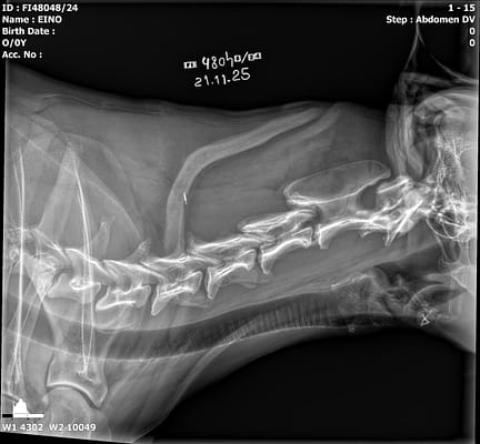 20251121_103438_FI48048-24_EINO