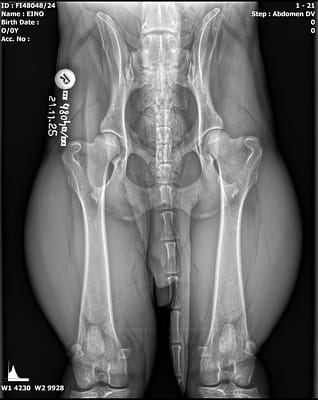 20251121_104712_FI48048-24_EINO