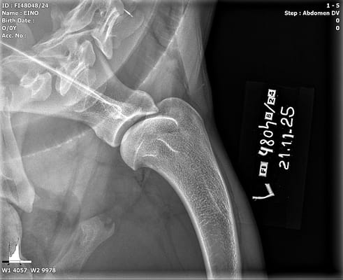 20251121_102620_FI48048-24_EINO