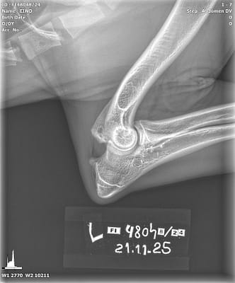 20251121_102811_FI48048-24_EINO