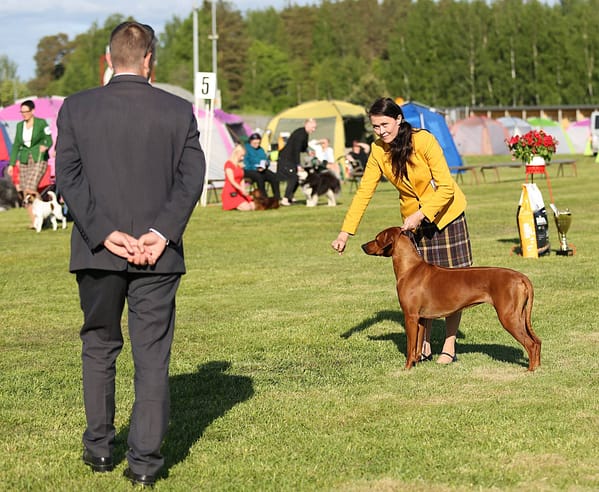 BOB, BIG-1 and BIS-2 in Joensuu NDS 28.5.2017