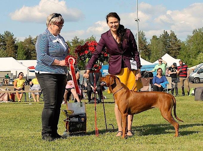 13346999_10154219447773684_724003974710148105_n BOB and BIG-1 in Joensuu NDS 29.5.2017