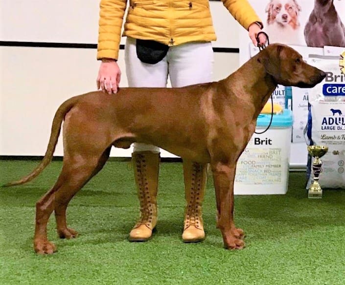 B368D437-0CF8-4A78-B127-2418695A9934