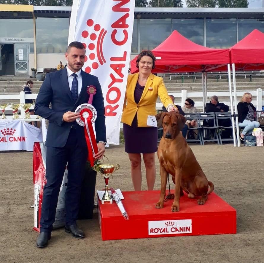 67337164_10157396249208684_9156373106837684224_n