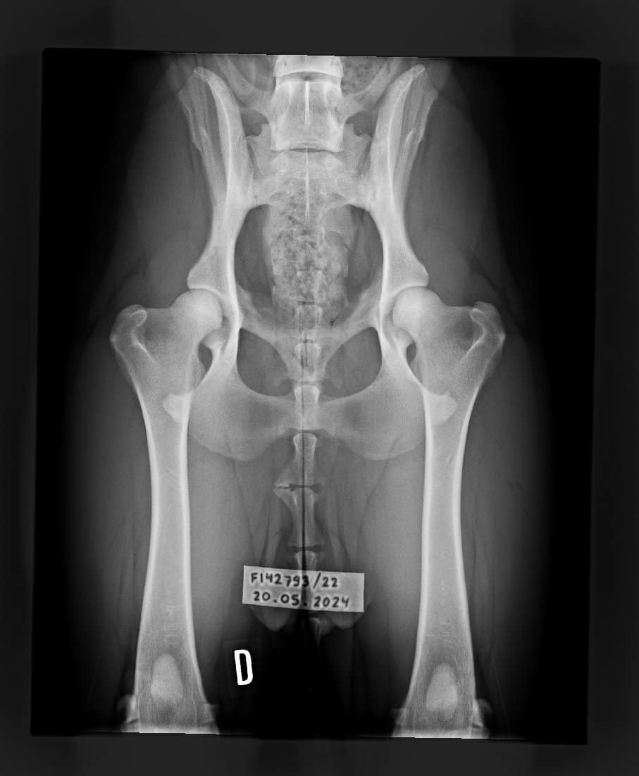 1.2.392.200036.9107.500.220.28487.20240520.140726.9248.1