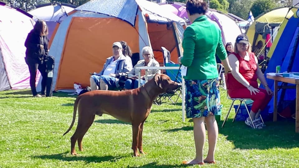 67310482_10157368094398684_7825579672015470592_n