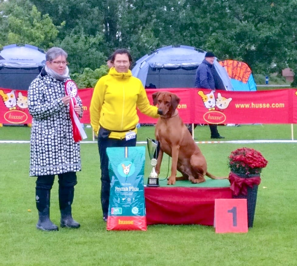 c5c41219-1ccd-4cda-a54a-2f144b44e3d9